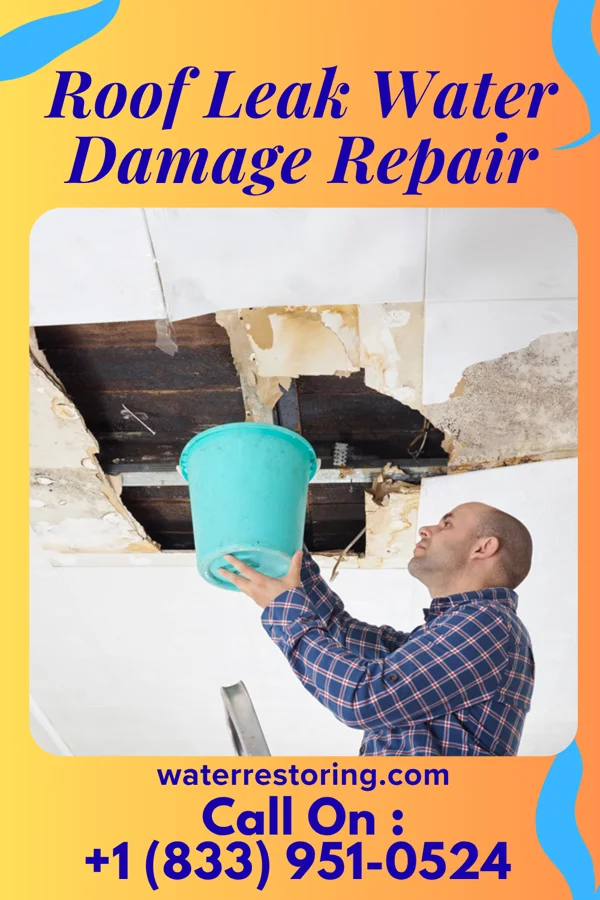 Roof Leak Water Damage Repair in Spring Glen, UT